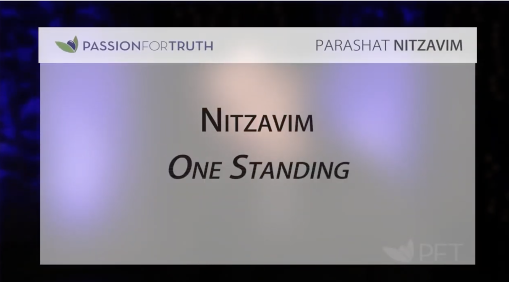 Nitzavim - Ones Standing