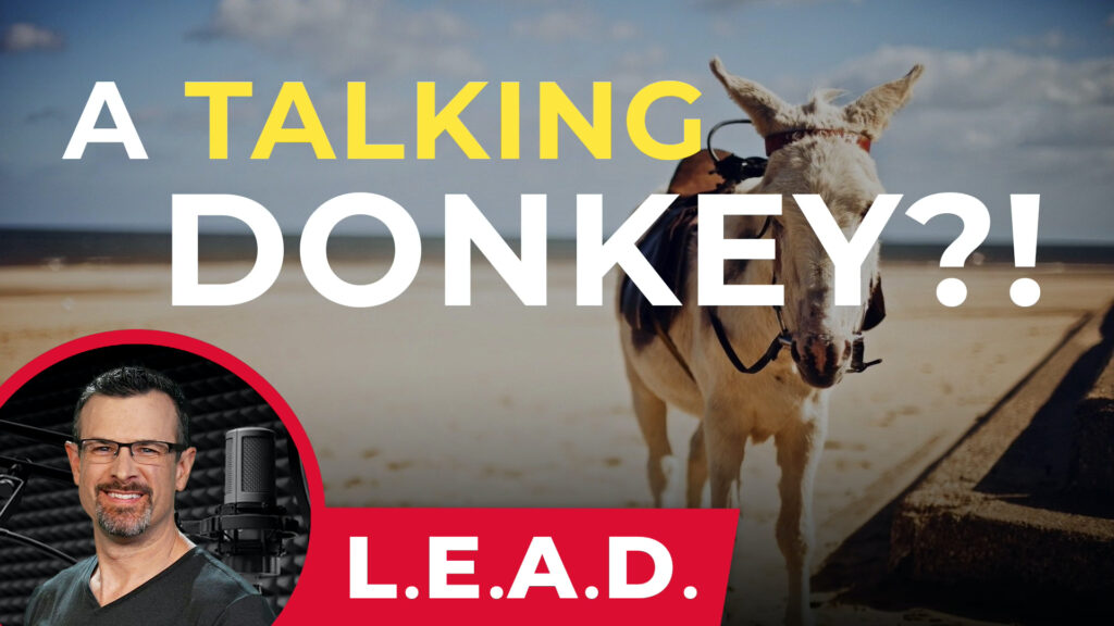 L.E.A.D. - A Talking Donkey